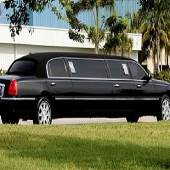 Bellevuelimorental@gmail.com Bellevuelimorental@gmail.com